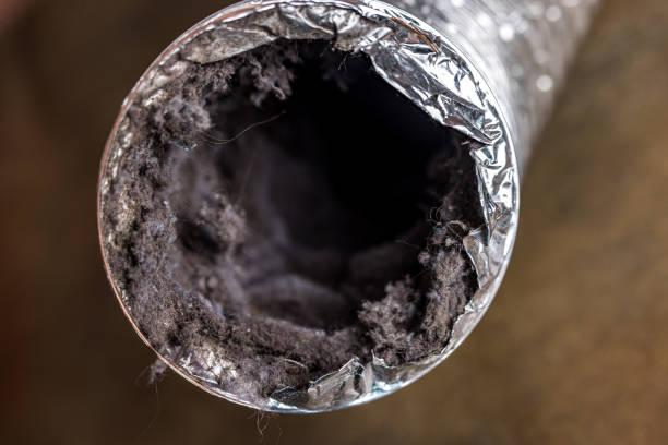 Best Ductwork Cleaning Services  in South Charleston, WV