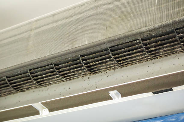 Best Affordable Duct Cleaning Services  in South Charleston, WV